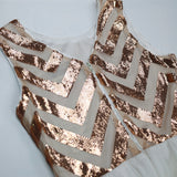 SEQUINS MESH TUTU DRESS
